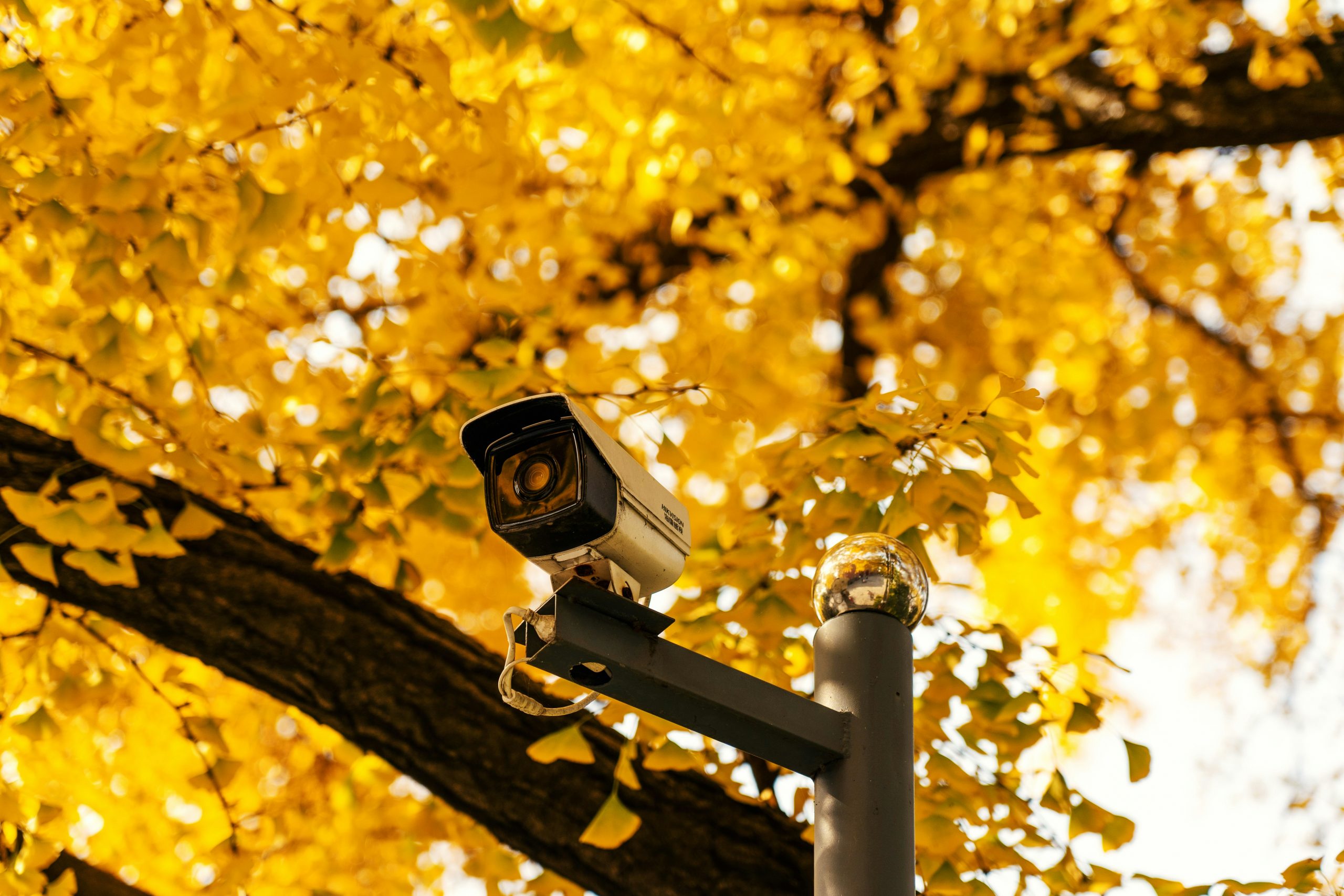 Improving Home Security With Home CCTV Installation